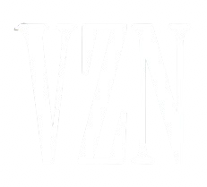 VIZION